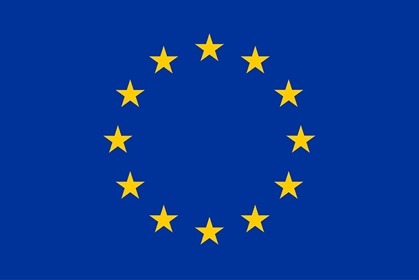European-funded health information grants secured by HIQA
